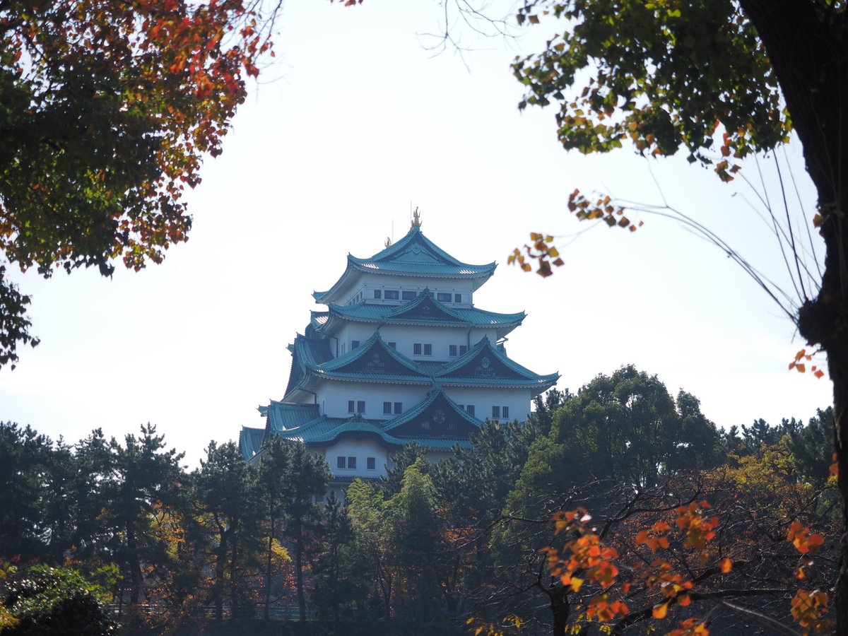 Hozumi 名古屋城 名城公園 名古屋市内も 紅葉見頃になりました 土日は周りの道路駐禁解除
