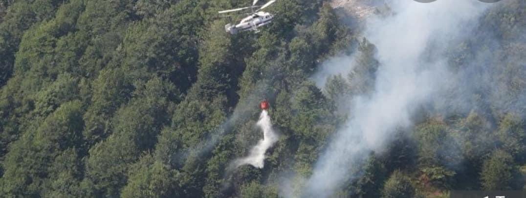 KarabakhDailyN's tweet photo. #Armenia/ns are setting the 🌳 of Kalbajar on fire. In response, #Azerbaijan/i government extended the evacuation period by 5 days as per @HikmetHajiyev. #Azerbaijan keeps choosing humanism over and over again https://t.co/VU0hZvTOcO
