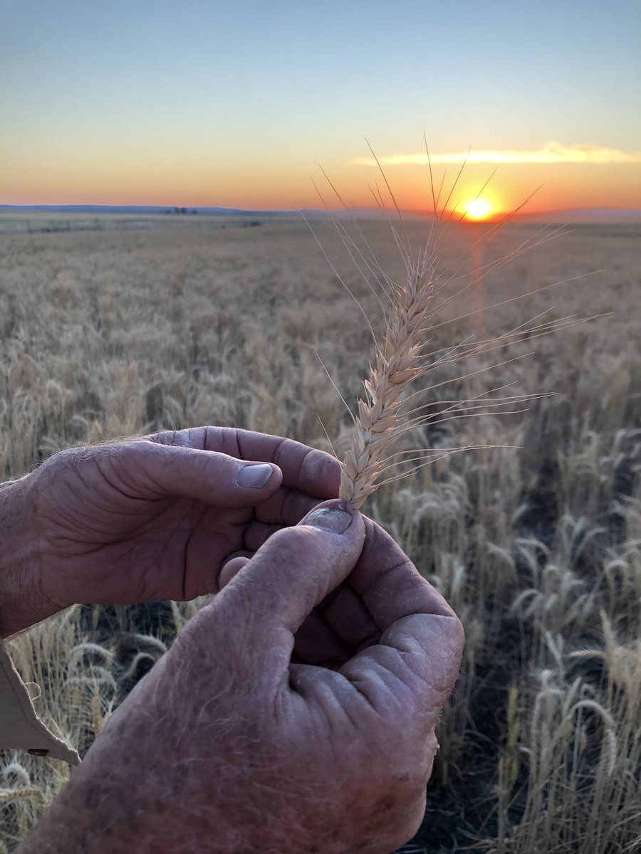 Shannon Crocker tweet media