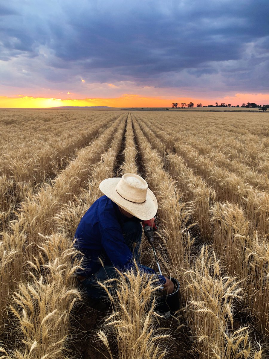 Shannon Crocker tweet media