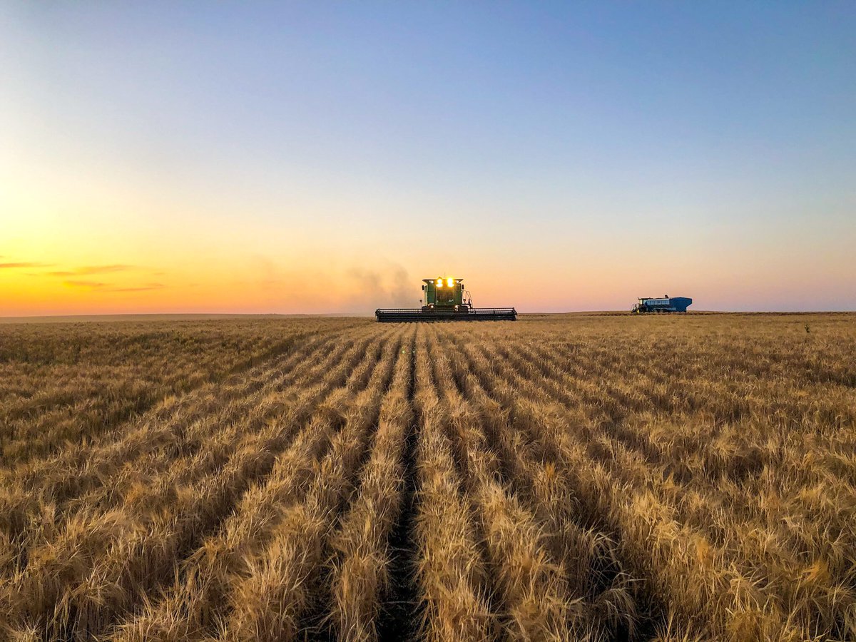 Shannon Crocker tweet media