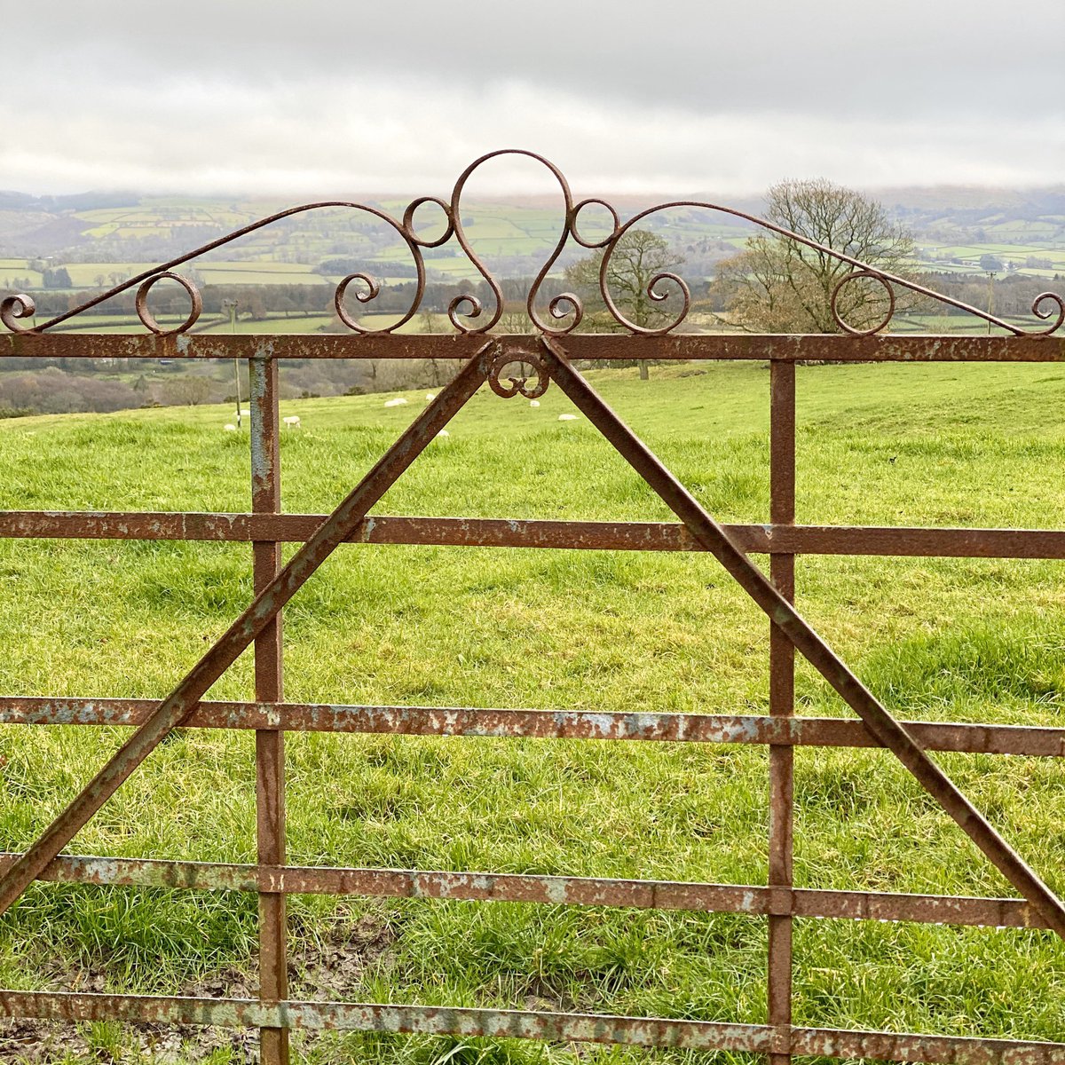 Welsh farm gate - Llanwenog.

#welshvernacularantiques #welshvernacular #farmgate #llanwenog #traditional #traditionalskills #welsh #anriques #anriquedealers #ceredigion #ceredigionbusiness