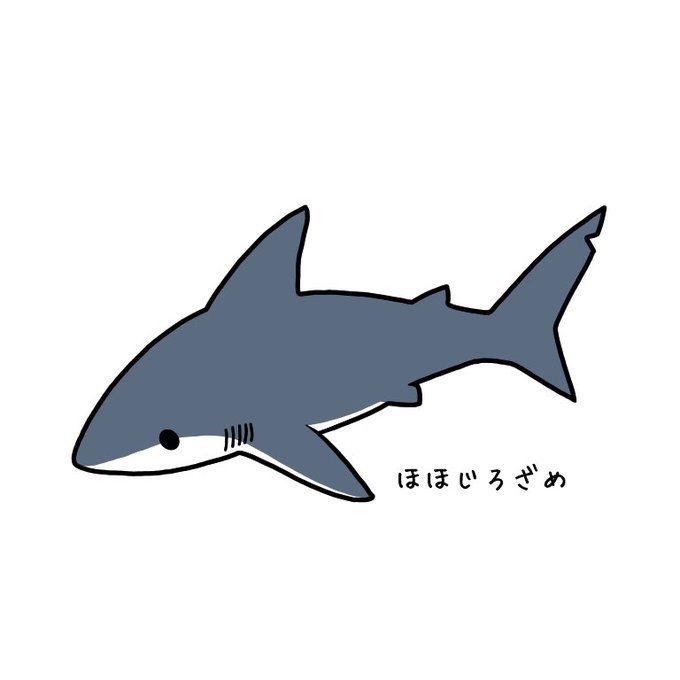 ホホジロザメのtwitterイラスト検索結果 古い順
