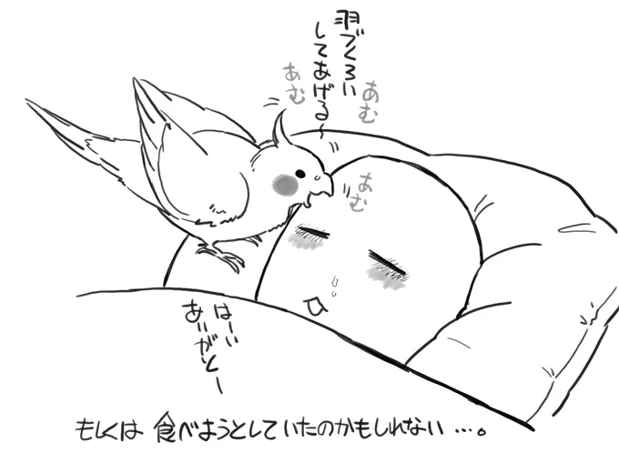 金曜からガチめの風邪をひいてしまい、苦しんで寝てたらインコちゃんが(♀)やさしかったよ。っていうらくがき
今はおかゆがおいしいです(回復) 