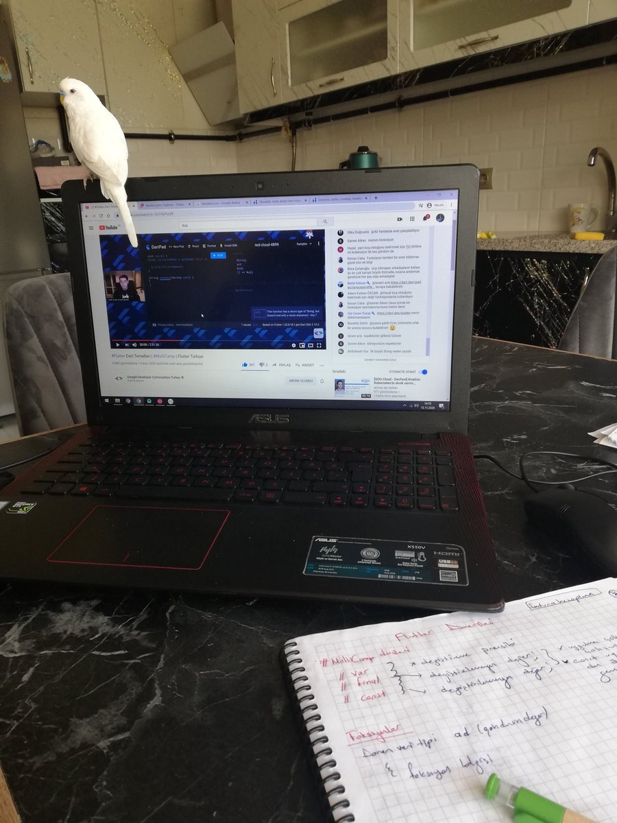 Eem_Tayfun's tweet image. Boncuk ile kaçırdığımız dersleri izliyoruzdur.
@Flutter_Turkiye @salihgueler #MultiCamp