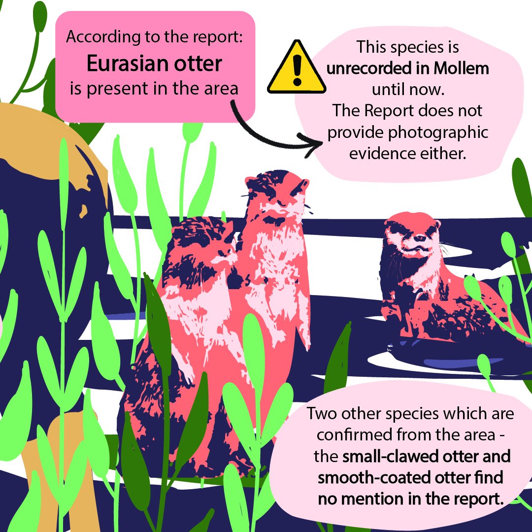  #IndiaWithGoa  #DropFIRsAgainstGoans  #SaveMollem