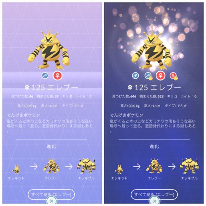 ポケモンgoで エレブーコミュニティデイ が話題に ポケgo トレンディソーシャルゲームス ポケモンgoで エレブーコミュニティデイ が話題に ポケgo トレンディソーシャルゲームス