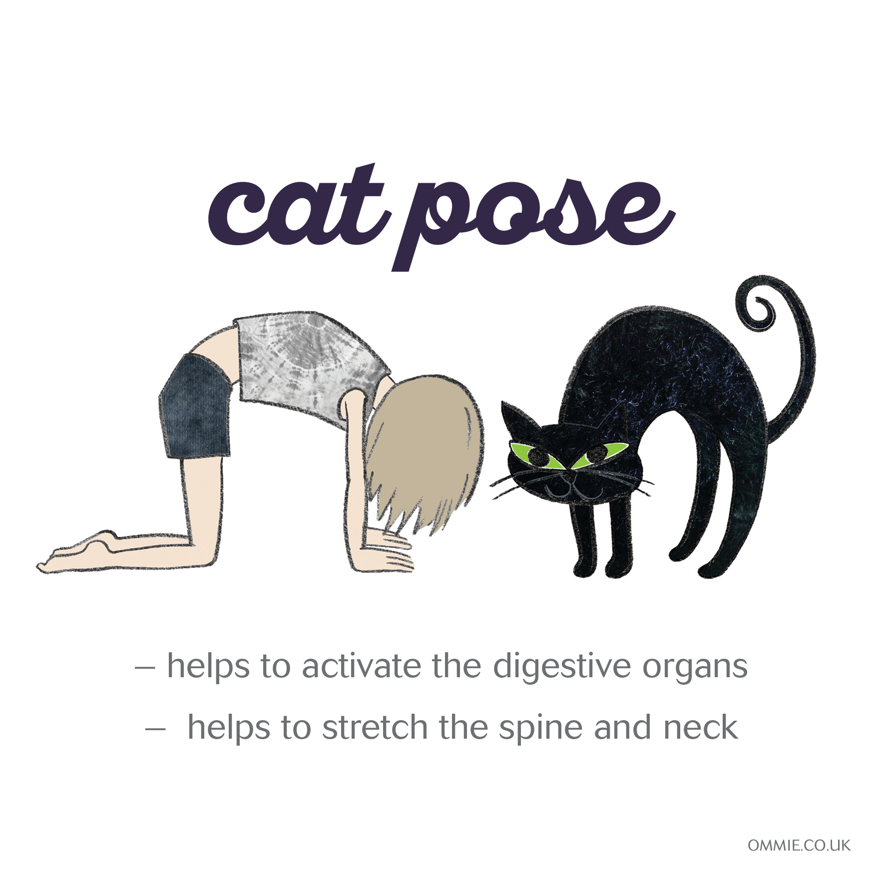 Ommie Yoga on X Follow the cow pose with the cat pose Marjariasana Breathe out through your nose tuck your chin into your chest and arch your spine like an angry cat