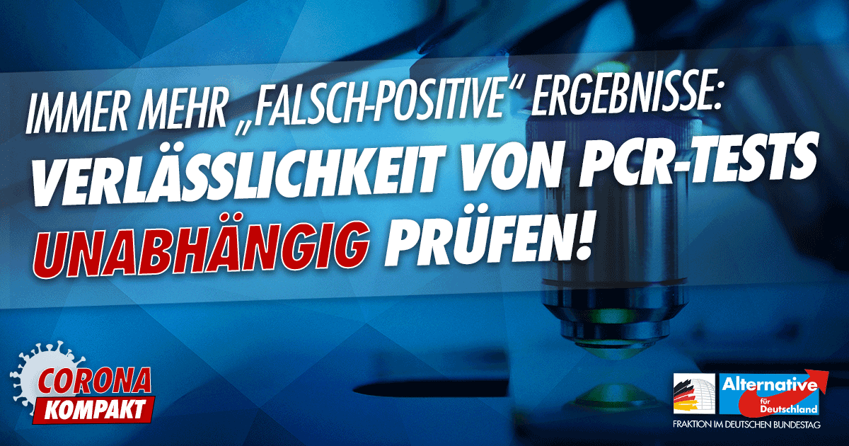 Alice_Weidel tweet picture