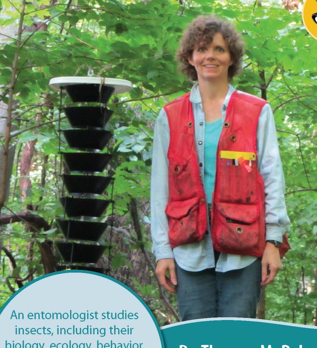 naturalinquirer's tweet photo. #ScientistSunday Meet Dr. Therese Poland, an entomologist with @usfs_nrs. From hiding ladybugs under her bed at age 8 to tracking Asian longhorned beetle larvae by the sound of their chewing, learn all about her fascinating career at https://t.co/ouI9Pyajcl. https://t.co/oAudV16ujN