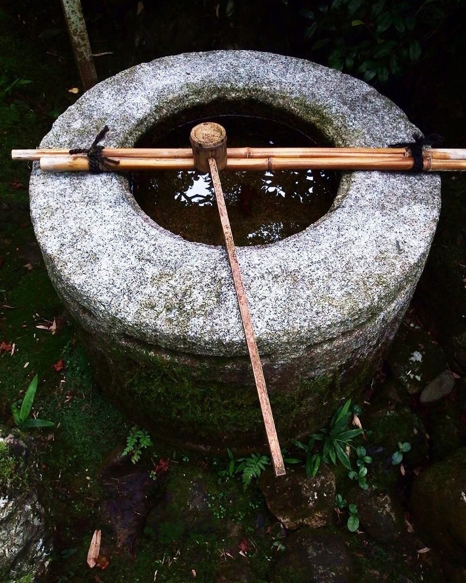 And there is an architecture/sustainability connection of course! Nanten was often planted next to toilets and outhouses, where it would overshadow a traditional chouzubachi (stone water bowl) placed with a ladle to give guests a way to wash their hands with clean rainwater...