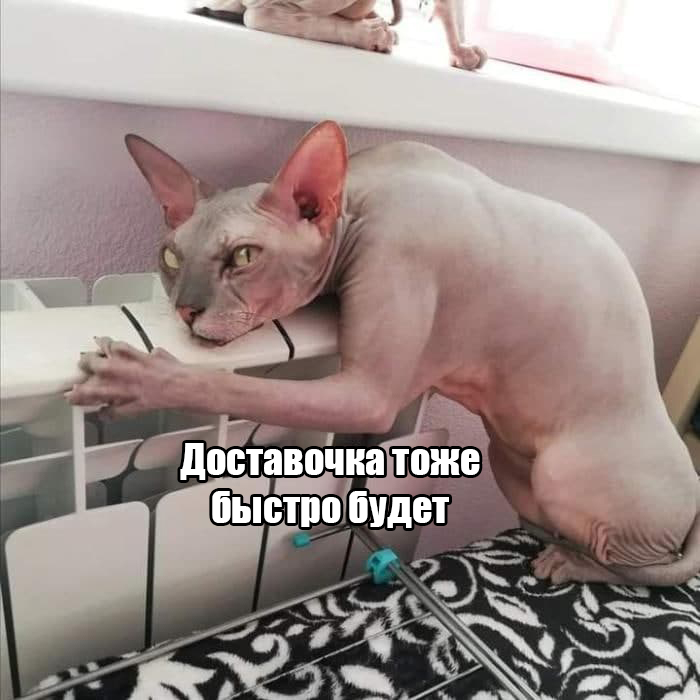 Домашние: И в чём проблема самому в магазин сходить?
Я, посмотрев на градусник за окном: