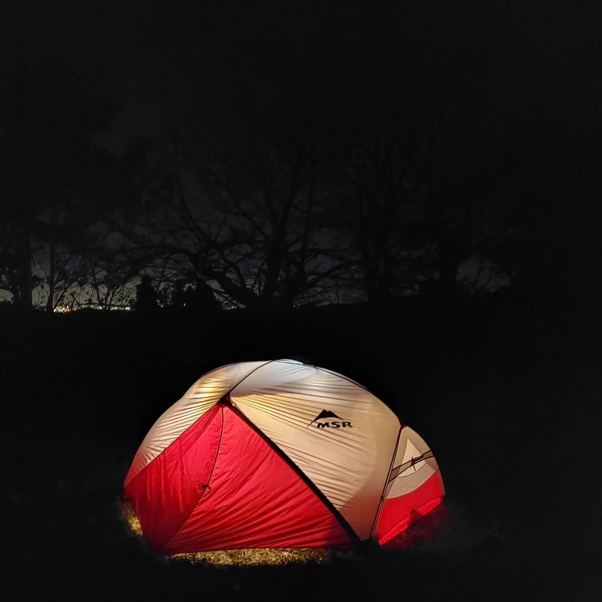maskedmarty's tweet photo. 更に惚れた
#msr #hubbahubbanx https://t.co/11JqPaypv1