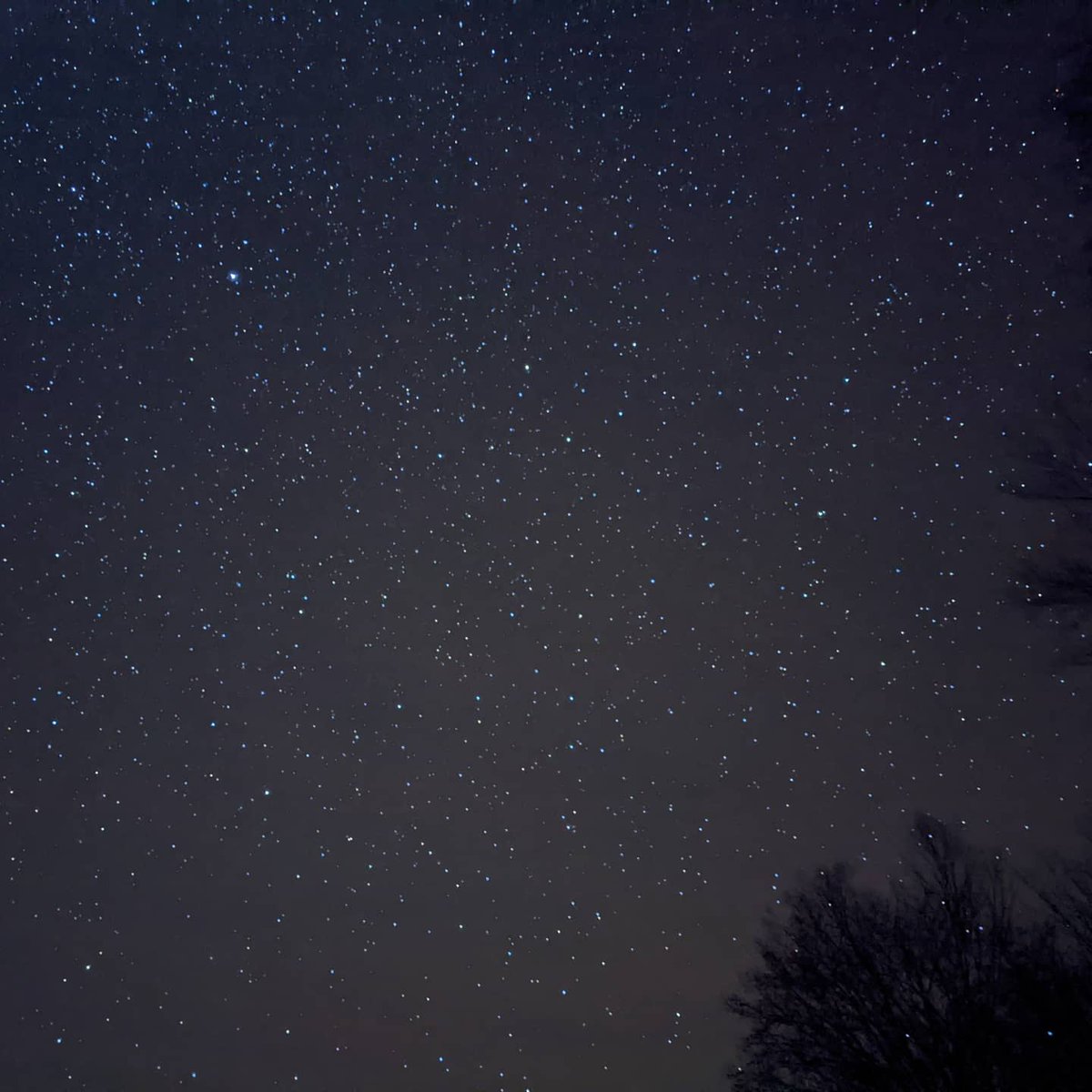 TheDrag0n_King's tweet photo. The darkest sky in NY state Batch 2
#pixelnightsight #googlepixel #nightsight #GooglePhotos #Astrophotography https://t.co/Kqy0xRyq6I
