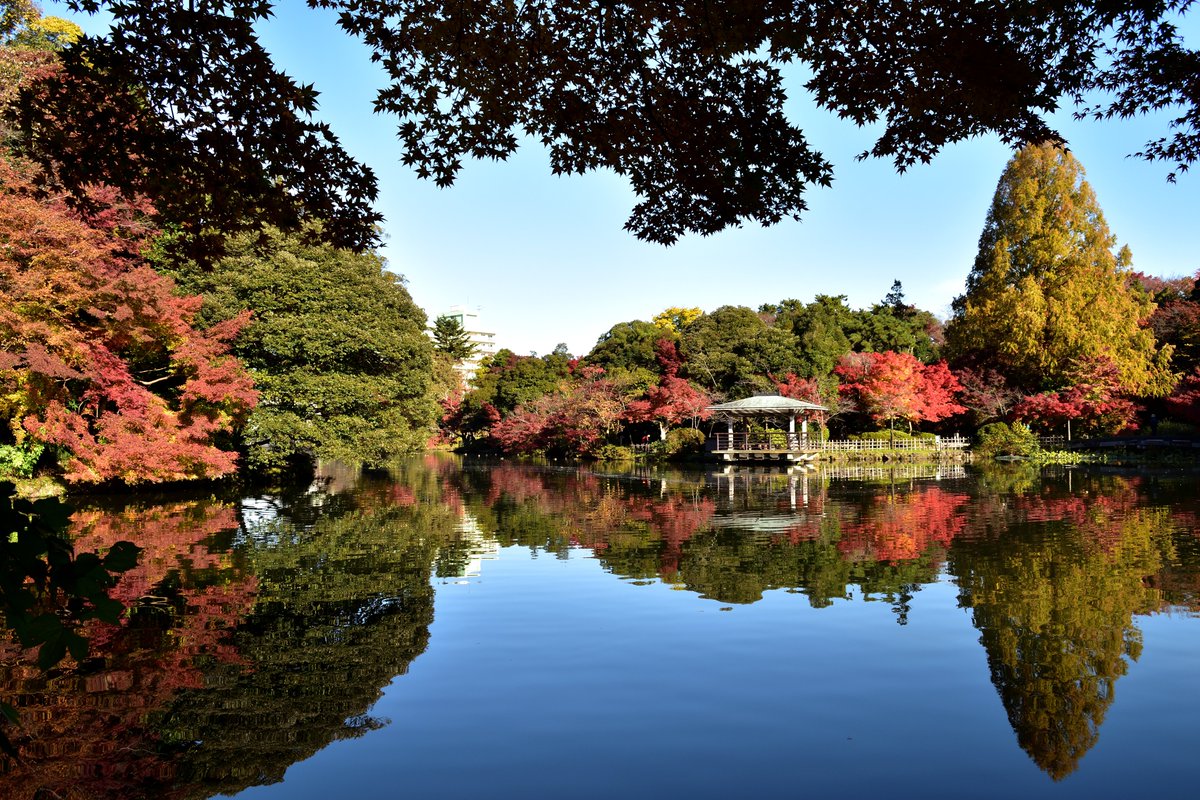 高岡古城公園 高岡古城公園