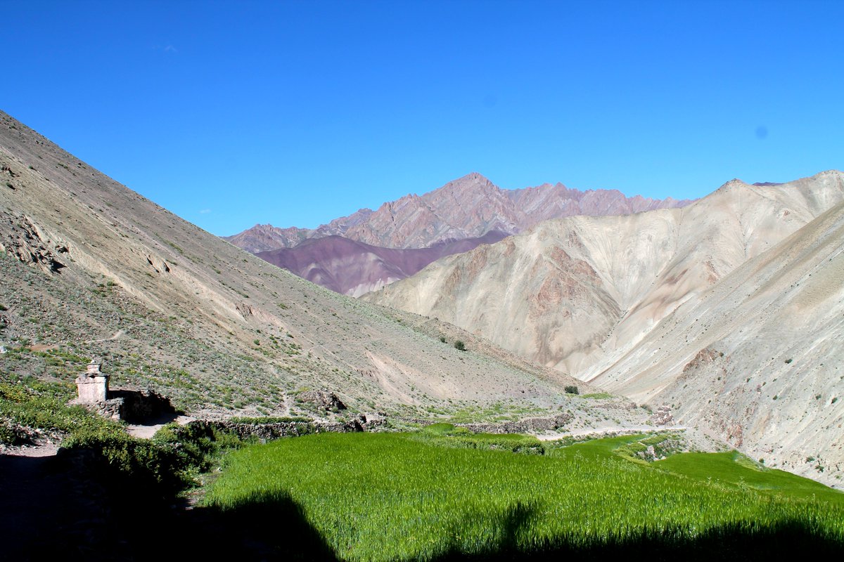 DerScheinwerfer's tweet photo. #Reisereportage - Der #Markha-Trek in Ladakh
https://t.co/qM4eKsWZni
#Reisen #Indien #Ladakh #Himalaya #Fotografie #Trekking #ReisenimKopf #travel #india #himalayas #photography #travelinmind https://t.co/X4vKqgGL1t