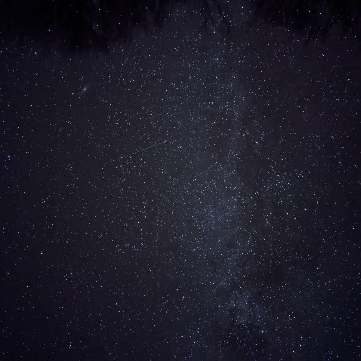 TheDrag0n_King's tweet photo. The darkest sky in NY state
#pixelnightsight #googlepixel #nightsight #GooglePhotos #Astrophotography https://t.co/TSGAzXvaOV