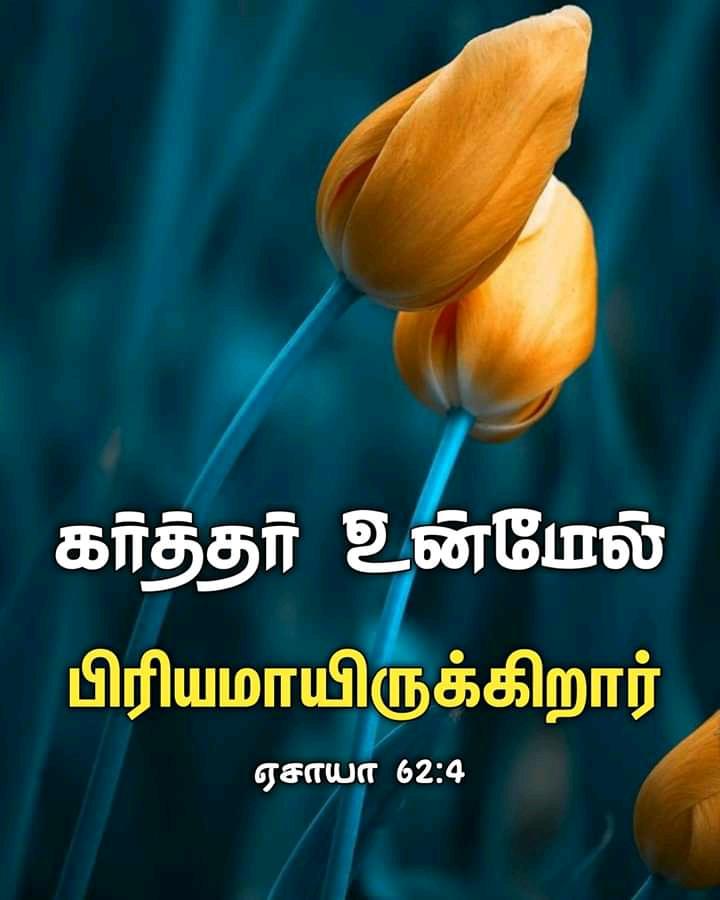 TNChristians's tweet photo. 🔴 BIBLE VERSE !!
▶️ Follow Our Page !!
▫️Bible Verse
▫️Songs
▫️Messages
▫️ and more...
#tamilbibleverse #wordofgod #godsword
#blessing #lifeisgood #imwithgod #dailypost
#dailyposttamil #tamilnaduchristians #tamilnadu #culture #religious #bible #bibleforeveryone
#sonofgod https://t.co/yRmvl9xAbe