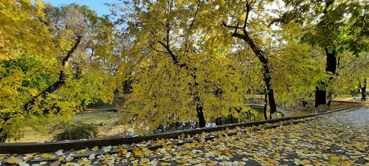 Travel_2Romania's tweet photo. Duminica prin Parcul Herăstrău . #Bucuresti 
#DiscoverRomania https://t.co/q856Zu6Swg