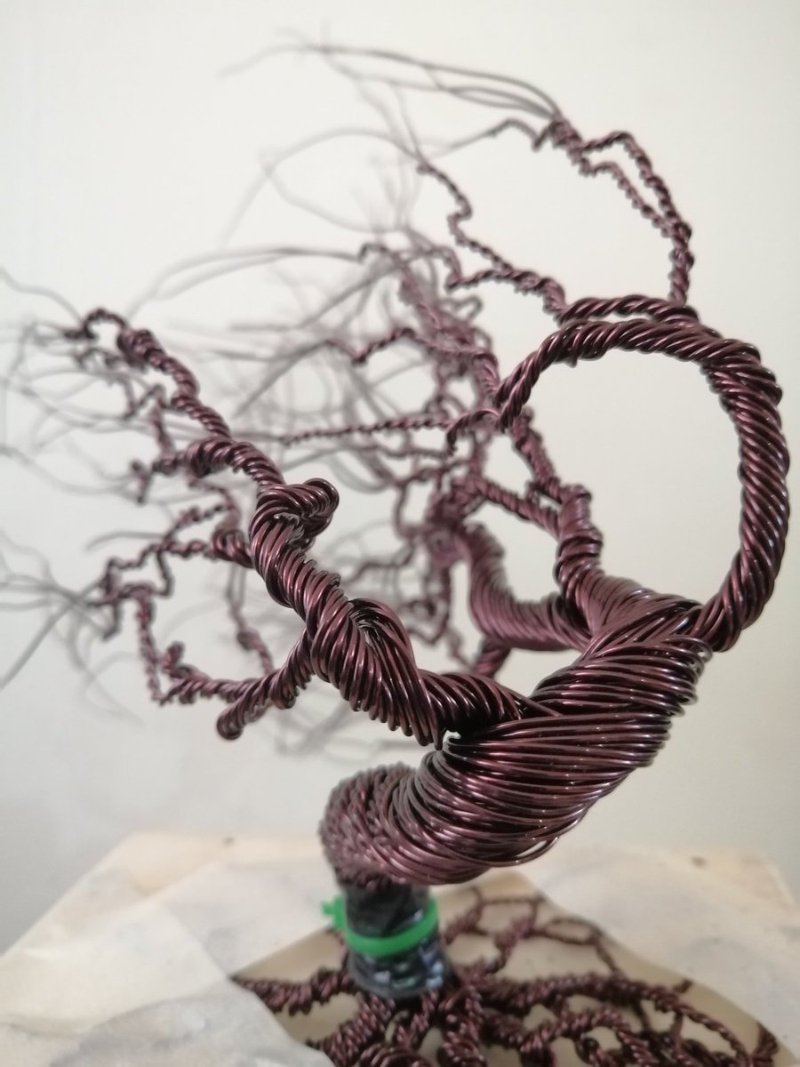 Eddykimani's tweet photo. A bigger #WindSwept tree in progress.
30% Complete.
The dance continues.
#thewiredance
#wiretherapy
#wireDance
#bonsaiworld #treeart #artofinstagram
#sculptureofadesk #bonsaiart
#wiresculpture
#wirebonsaitree #interiordesign
#giftideas #wire #wiretree #bonsai #kenyabonsai https://t.co/88Ni8q4WQD