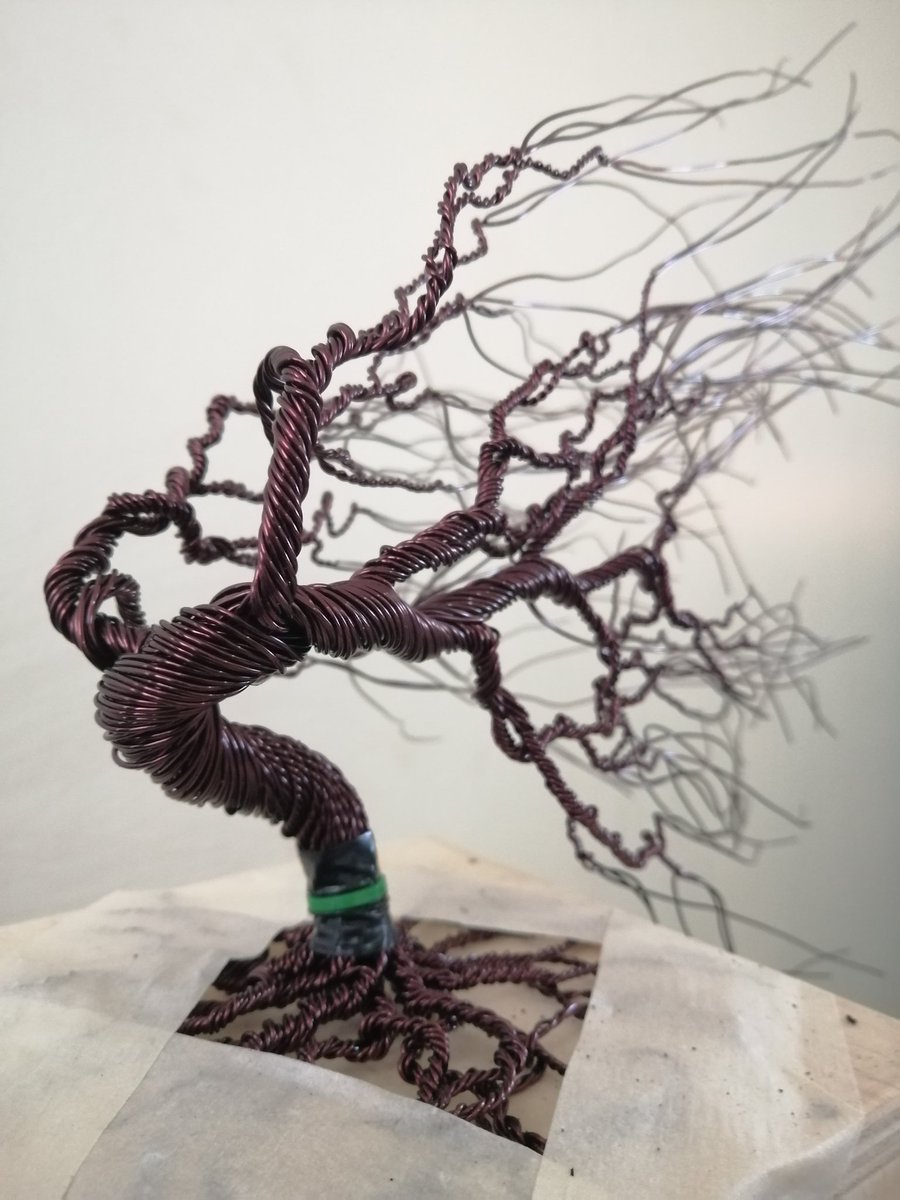 Eddykimani's tweet photo. A bigger #WindSwept tree in progress.
30% Complete.
The dance continues.
#thewiredance
#wiretherapy
#wireDance
#bonsaiworld #treeart #artofinstagram
#sculptureofadesk #bonsaiart
#wiresculpture
#wirebonsaitree #interiordesign
#giftideas #wire #wiretree #bonsai #kenyabonsai https://t.co/88Ni8q4WQD
