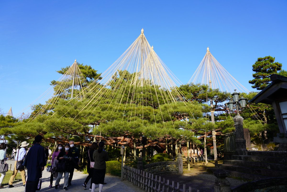 nonnonUsachan's tweet photo. 兼六園

少し落ち着いた印象の庭園もファインダーを通すと華やかで優美な姿を見せてくれました😊

ではまた明日。

#兼六園 #金沢一人旅 #destinationjapan https://t.co/dr65uK8heC
