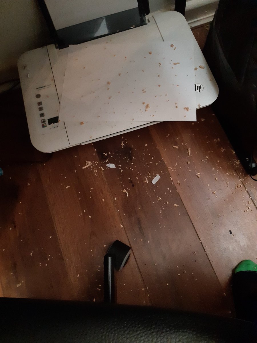As part of <a href="/BuildARally/">Build-A-Rally</a> this morning our chair tried their hand at whittling. The results may be shoddy, but it's a work in progress. However, she is not looking forward to the clean up