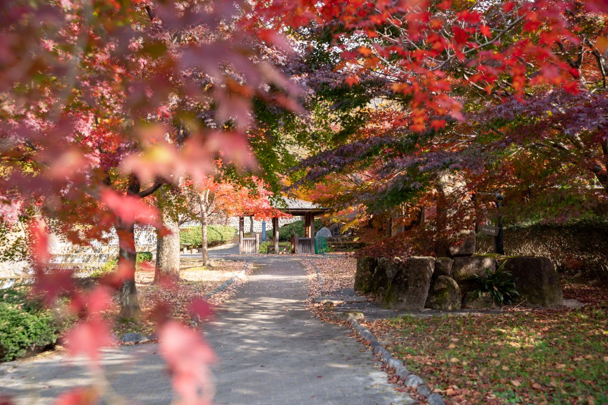 ぱいちゅん 下呂温泉でとってきた紅葉と温泉街っぽいの