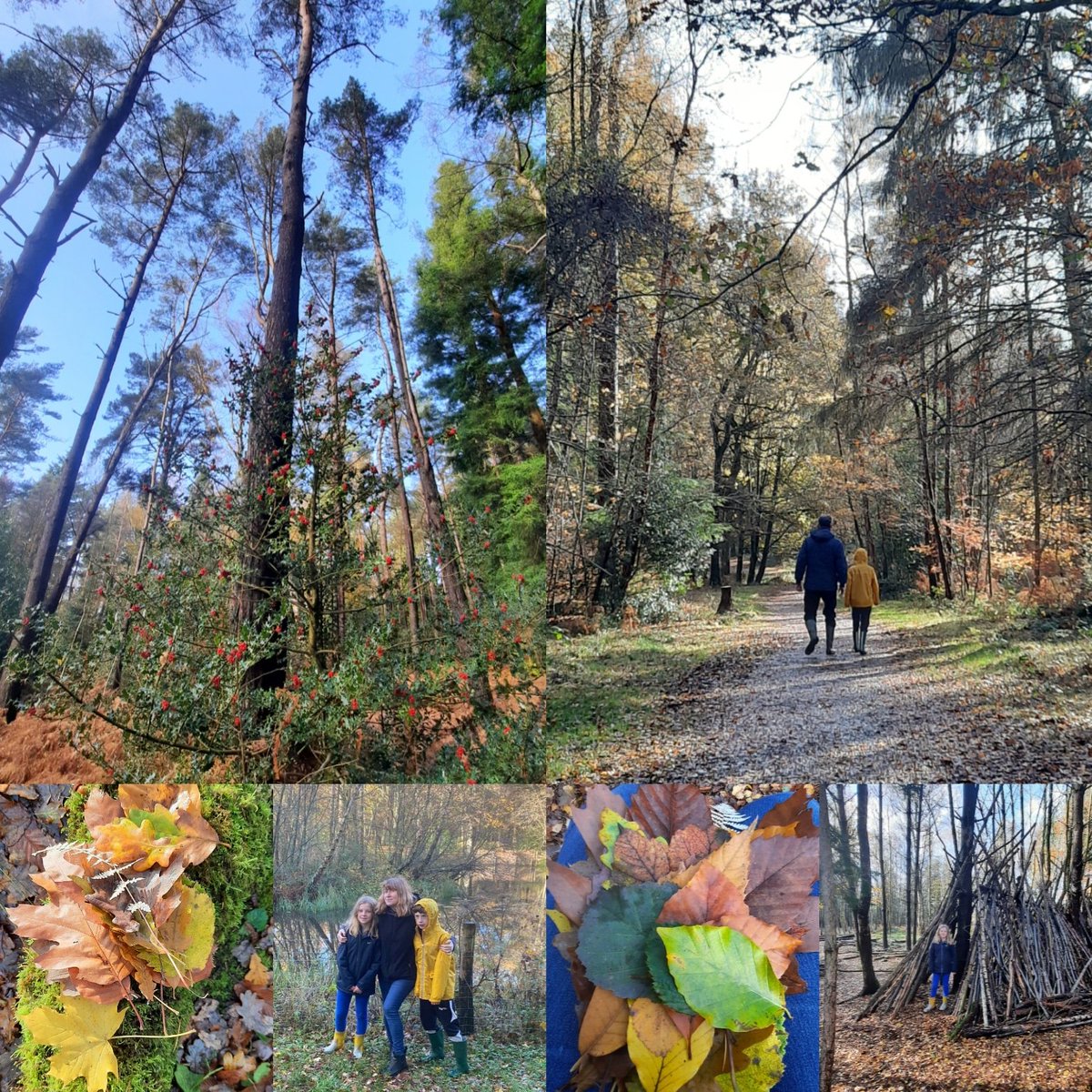 ham1's tweet photo. Morning woodland walk looking up at the beautiful #treess (no one else quite shared my enthusiasm to also look down at the gorgeous array of coloured leaves;), family #woodlandwalk & a #breakfromscreens in #Newbury @nationaltrust https://t.co/V3Ej1HcRVF