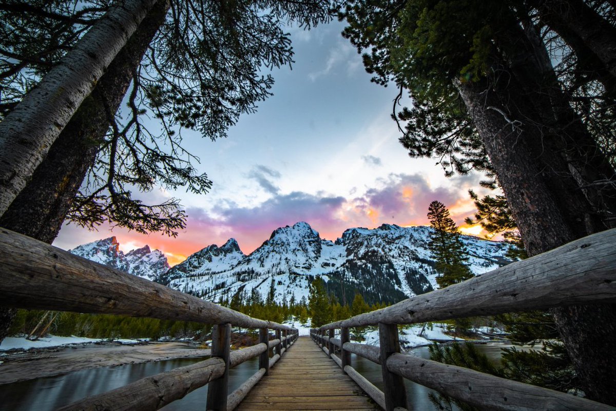 neversleeps29's tweet photo. head for the mountains https://t.co/jYkpjYfpBv