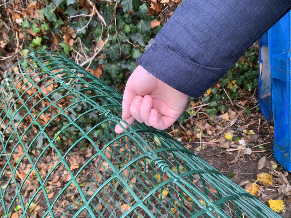 We finally made the leaf cage to make leaf mould this morning..  we used this grid/mesh we bought at the garden centre (about 3 meters by one meter) and joined the two ends by wrapping with wire like this...   #leafmould  #Sustainability