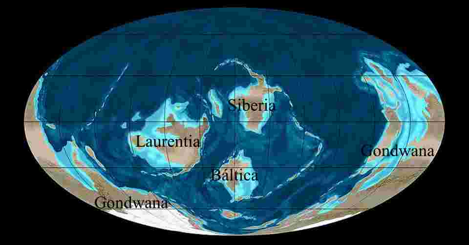 Numerosos estudios paleobotánicos y filogenéticos sitúan el inicio de las primeras asociaciones entre plantas y hongos en el Paleozoico (hace 400 millones de años), más concretamente en el Ordovícico (500-440 Ma) y finales del Cámbrico (544-500 Ma).