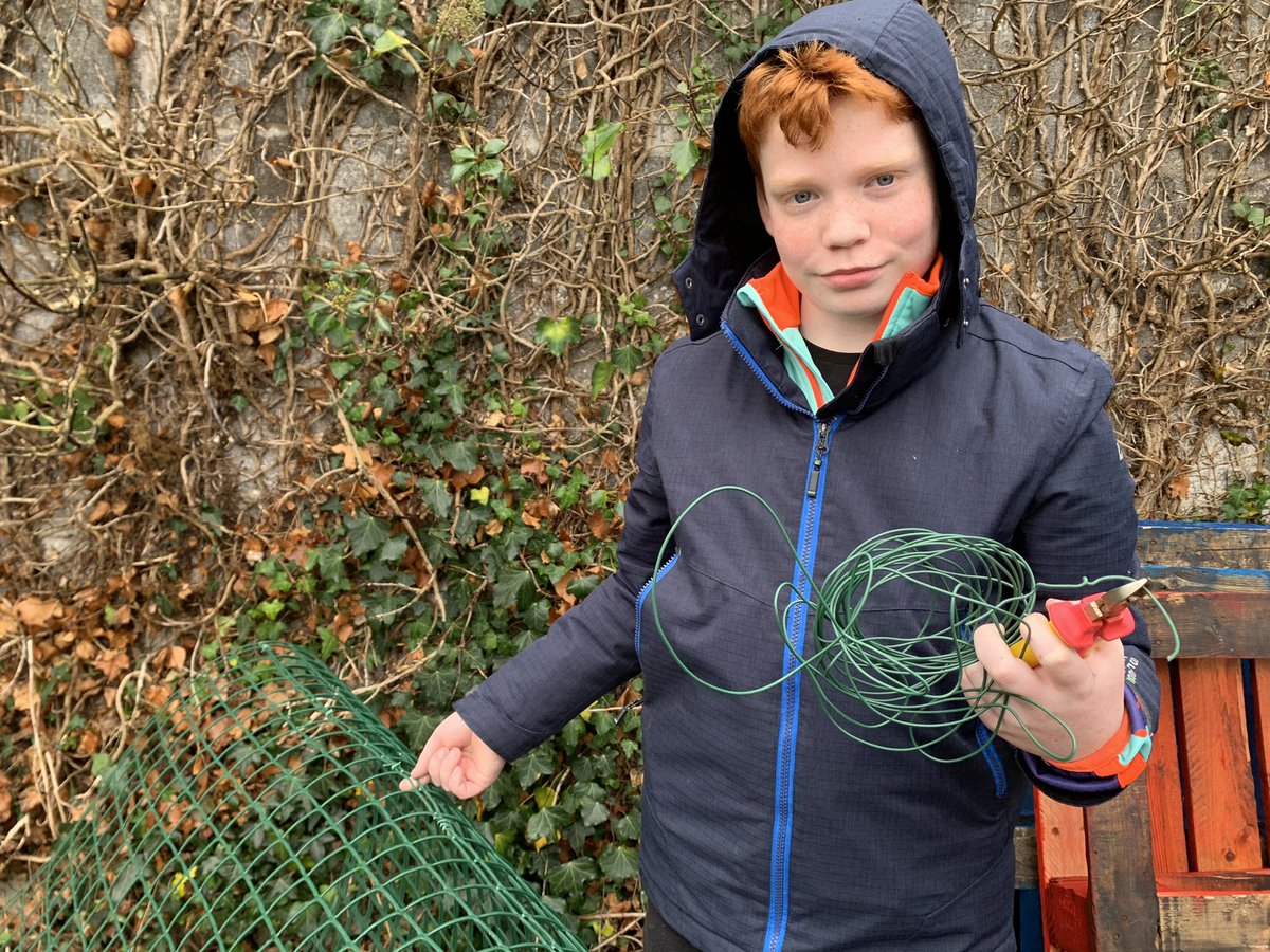 Sam preparing to make the leaf cage. We used a pliers, hammer, grid/mesh, 4 stakes, gardening wire, cable ties.  #leafmould  #sustainableGardening