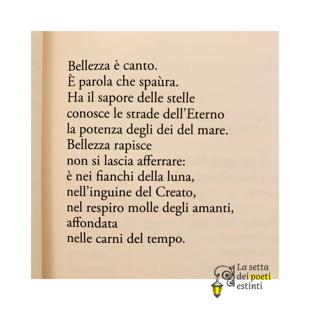 La Setta Dei Poeti Estinti Dalla Nuova Silloge Di Poesia Di Mara Sabia Le Strade Del Bacio Il Ritratto Fotografico Di Mara E Del Maestro Dino Ignani Casalettori T Co Tqwl7xo7zy