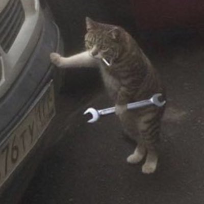 MorganLats's tweet photo. #NewProfilePic https://t.co/WER5JorYm9