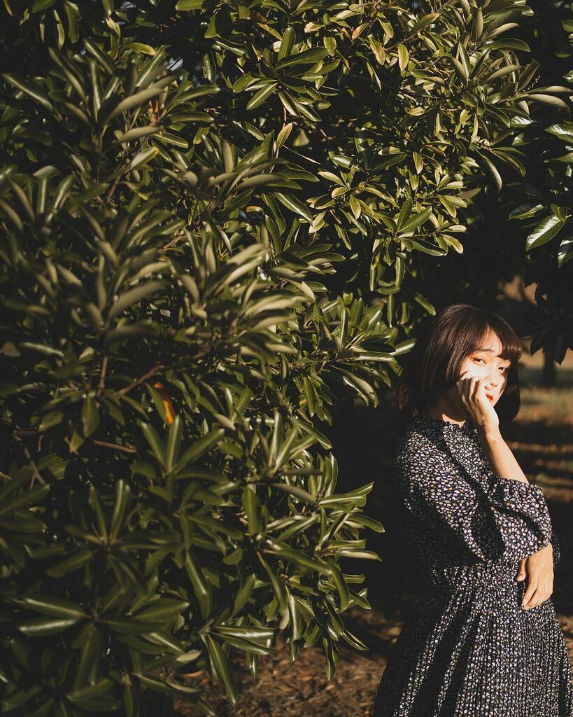 Fukuoka Camera Walk Fukuoka Cw Twitter