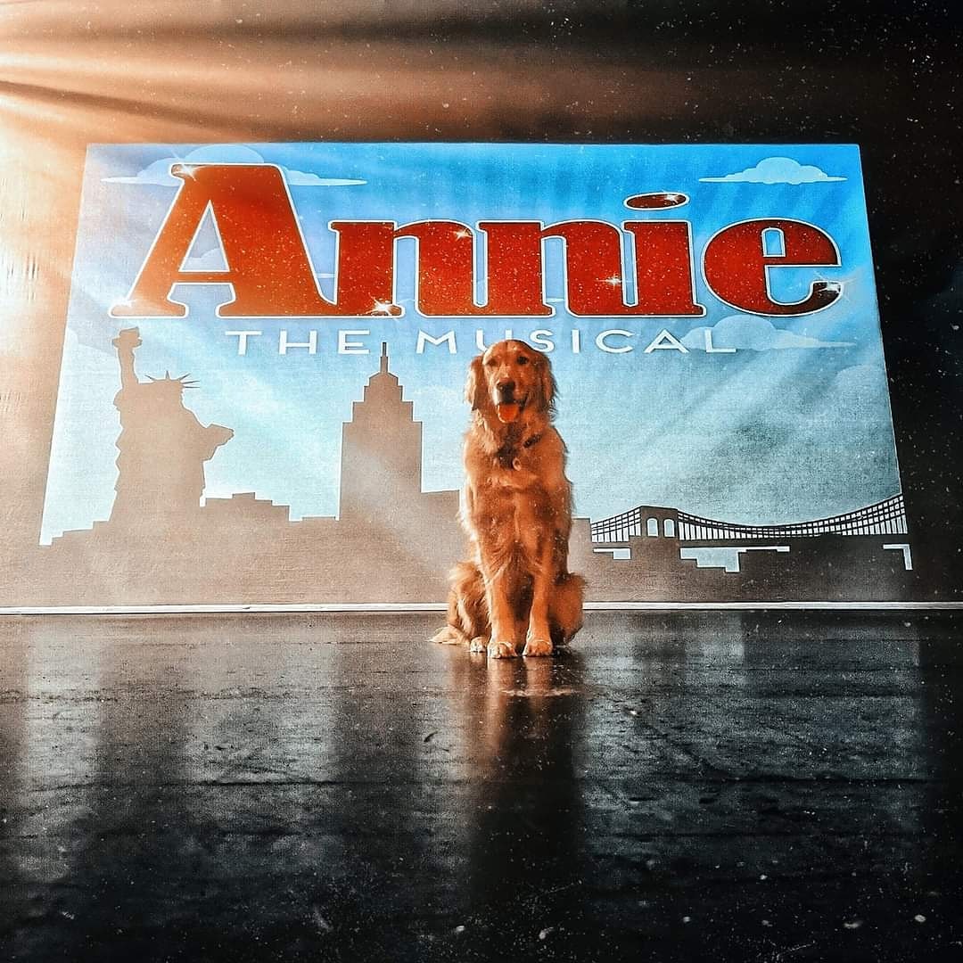 AnimalEvalution's tweet photo. ✨ BIG NEWS ✨
It has been confirmed that @Golden_Budstar will be playing Sandy in the @KingsTheatre's rescheduled production of #AnnieTheMusical next April 🎉
WELL DONE BUDDY 💛

#SundayFunday #SundayMotivation #Theatre #Musical #DogsOfTwitter #GoldenRetriever #Congratulations https://t.co/DZWmHvvZq7