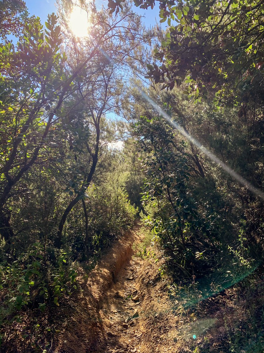 JoanMartin_'s tweet photo. #RunnerTip
Cuando no tienes ganas de salir a correr... solución: ponte las zapatillas, déjate de tiempos y PRs, sal a correr sin ganas y busca nuevas rutas (en naturaleza mejor). Infalible. #motivaciónON https://t.co/OxA1Qw7yVm