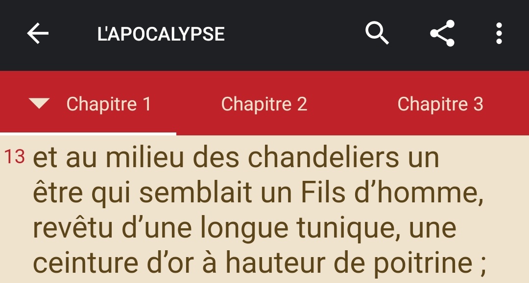 Le grand prêtre :  #messe  #liturgie