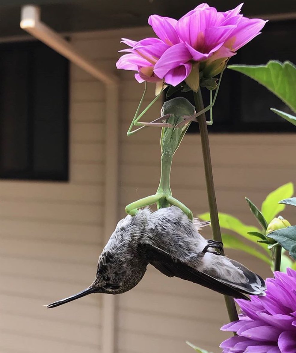 يقال ...
كي يبقى الجميل جميلاً ، لا تقترب منه اكثر من اللازم..!