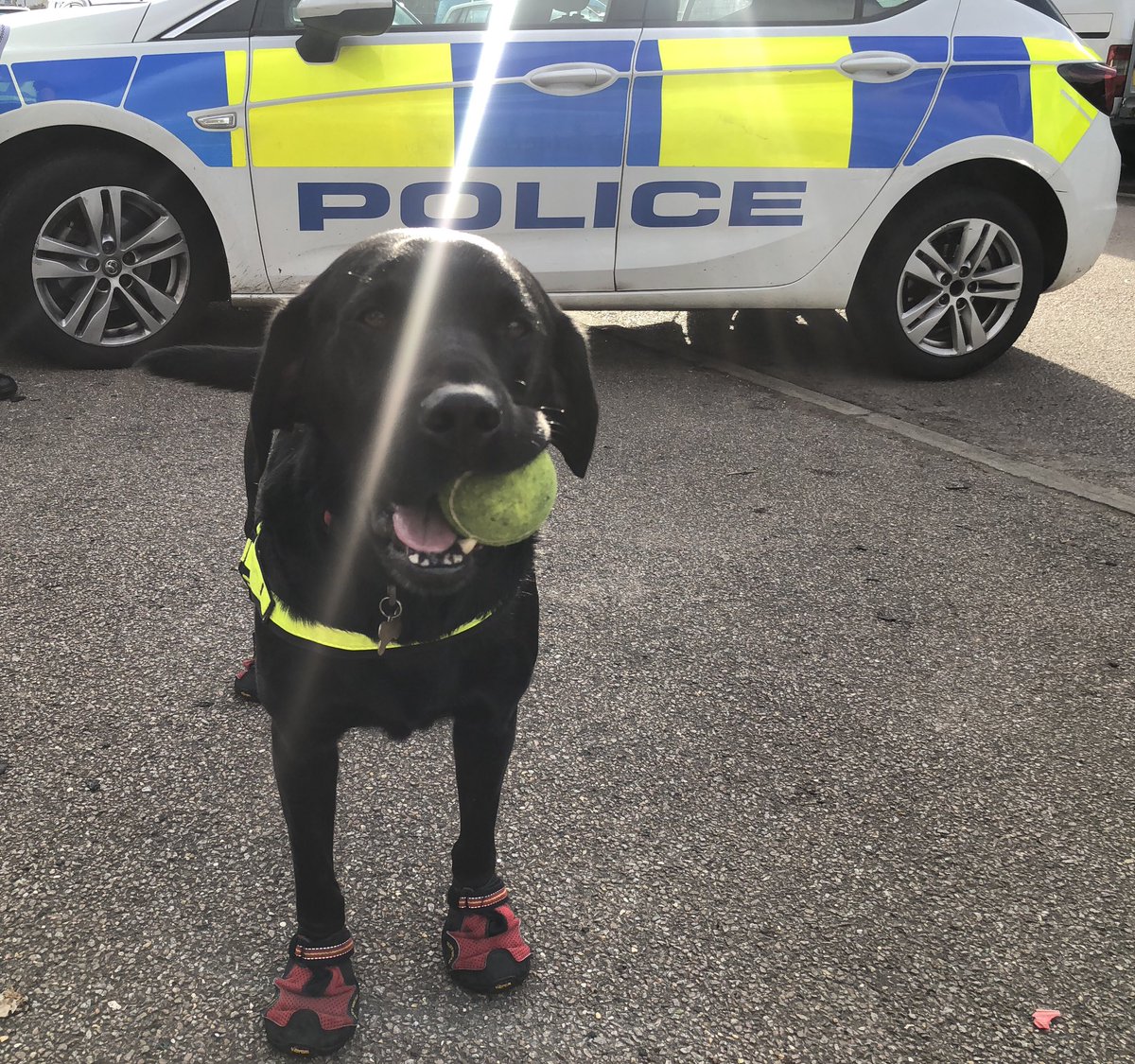Another day.......another #FireInvestigation. Today’s we ‘re in #LondonColney where the sun is shining......a different weather story to yesterday. #WorkingDog #TheNoseKnows #DogsWithJobs