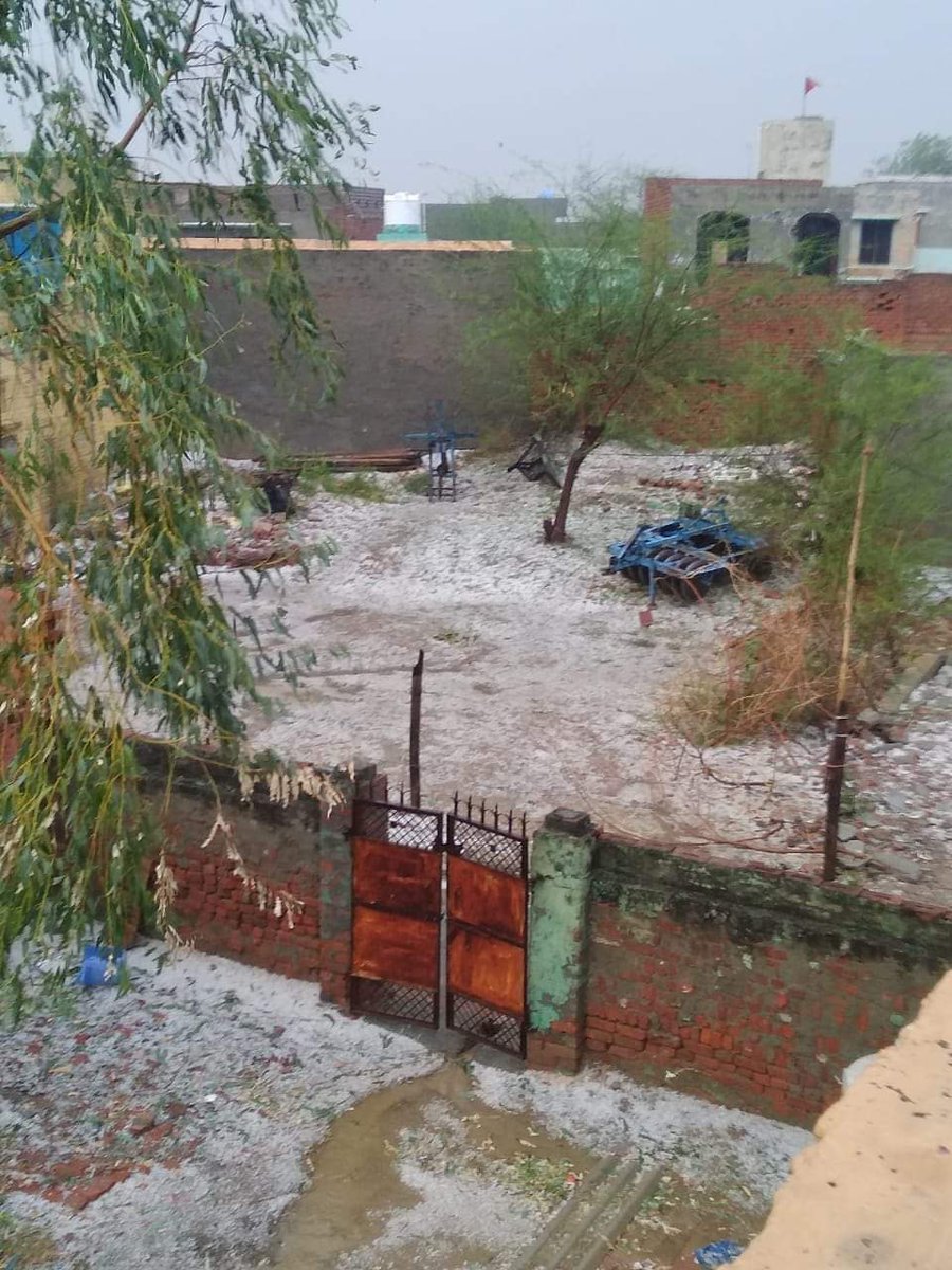 ShweDhull's tweet photo. @mlkhattar @Dchautala @cmohry
तबाही का ये मंज़र भी क्या उस satellite से दिखाई देगा जिससे पराली जलती दिखाई देती है?!!!!
 😓🙏
(साभार : कर्म ढुल ) https://t.co/O3r0M7CpRG