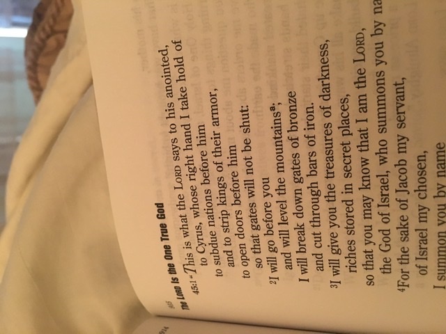 RandomosityDevo's tweet image. 