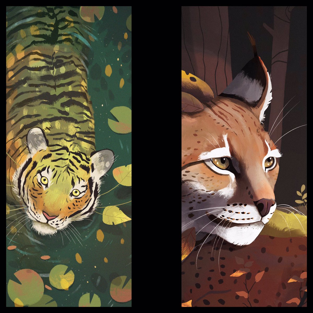 Ulysse 🍂🍁 tweet media