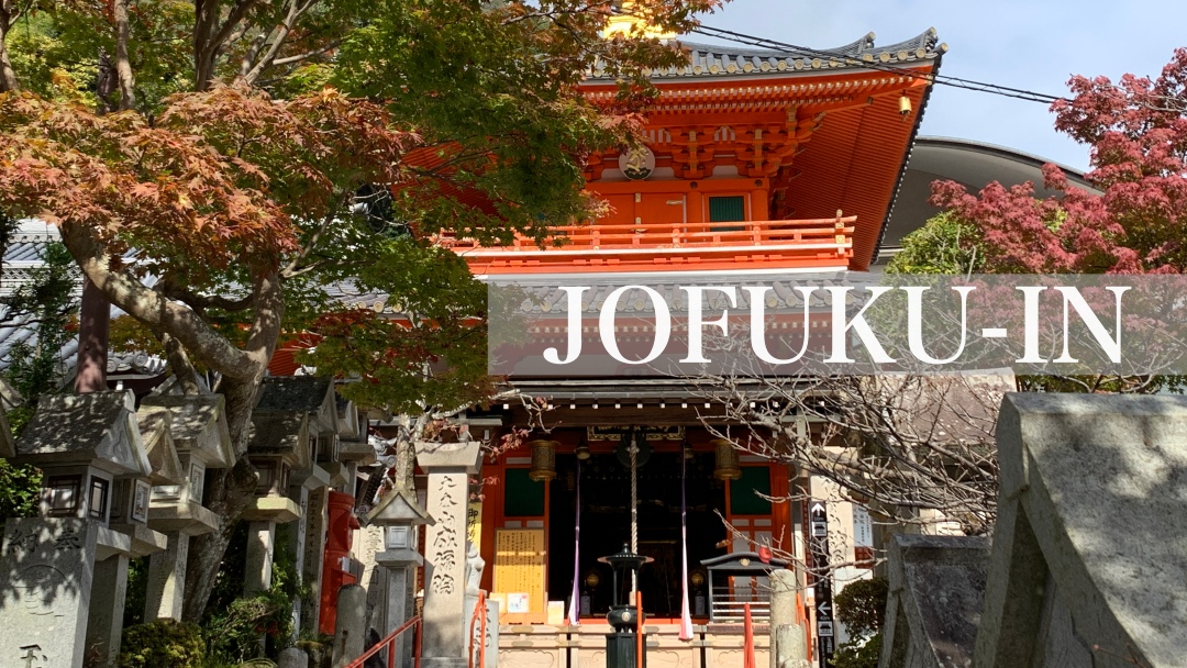tourism_local's tweet photo. Shigisan Jofukuin is the head temple of the Shigisan Shingon sect. https://t.co/ASUhFzTYIG The benefits of business prosperity, good fortune, and fulfillment of various wishes.
#nara #temple #shrine #shigisan #jofukuin #autumn #JapanFall #japantravel #autumnleaves #autumncolors https://t.co/CgFYoU42uJ