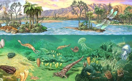 En el momento del surgimiento de las primeras micorrizas las condiciones ambientales de la Tierra eran muy adversas y la cantidad de nutrientes en el suelo, muy inferior.
