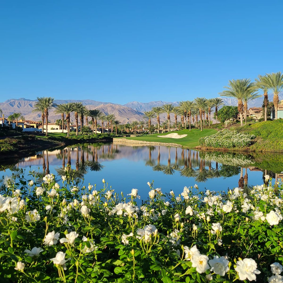 #7 North vs. #7 South