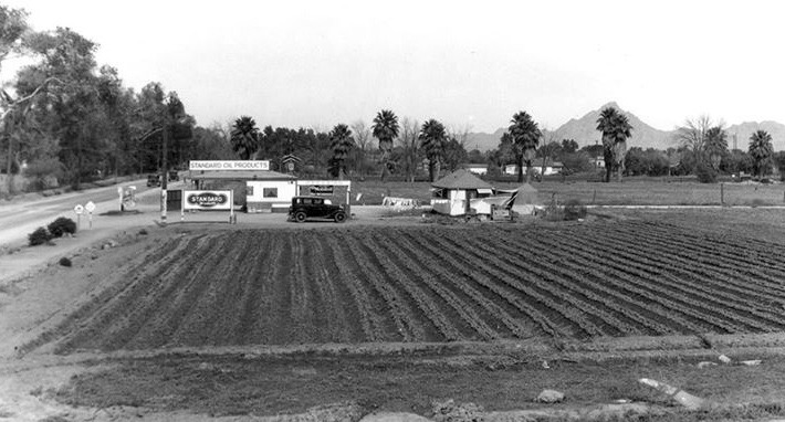 CityofPhoenixAZ's tweet photo. In today's #NovembertoRemember we look back to the late 1930's early 40's when #Phoenix was much smaller and surrounded by farms. This is the 16th St. and Roosevelt area looking north back in those days.
#Phoenix #PHX #Historic #History #PhoenixHistory #oldphoenix https://t.co/d46lV8axZ4