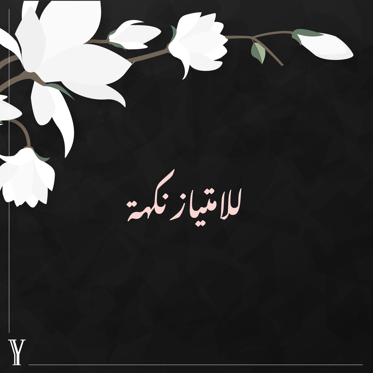yerivian's tweet photo. أطباقنا مُعدة بكل شغف لتتذوقوا أصالة النكهة الأرمينية

#يريفيان #Yerivian https://t.co/jxqCQQz9D7