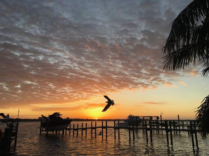 VivaSarasota's tweet photo. #SiestaKeySunrises #ThanksCharlie #VivaSarasota #GoodMorningSrq #GoodMorningSunshine #GoodMorningFL #GoodMorningSK #LoveSrq #LoveFL #LoveSK #Srq #SK #SiestaKey https://t.co/Aeo2J0W3kz